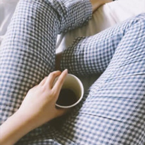 Blue gingham checkers tilden pants 