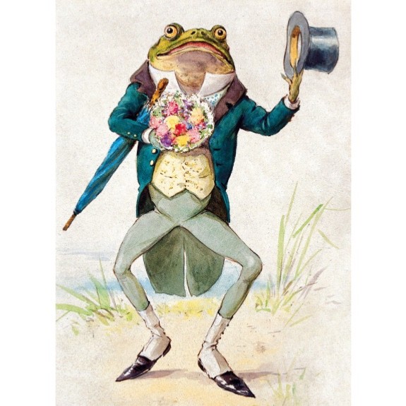 Toad in Morning Dress Blank Art Greeting / Birthday Card Anthropomorphic Frog