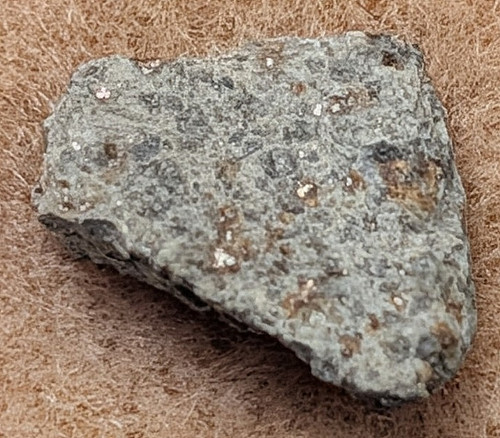 Beaver Oklahoma Meteorite Specimen L5 Stone Chondrite Slice NEMS Labeled COA 0.6