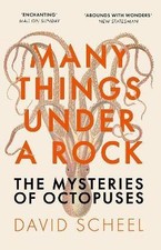 Many Things Under a Rock, David Scheel,  Paperback