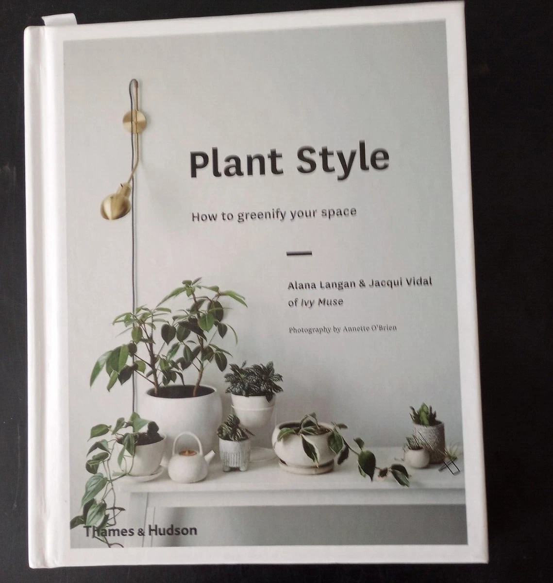 Indoor Plants Alternatives Greenify Your Space Natural Home Beauty