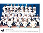 1983 MONTREAL EXPOS 8X10 TEAM PHOTO BASEBALL CANADA RAINES CARTER DAWSON REARDON