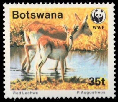 BOTSWANA 434 - Red Lechwe "Kobus leche" WWF (pb71967) | eBay