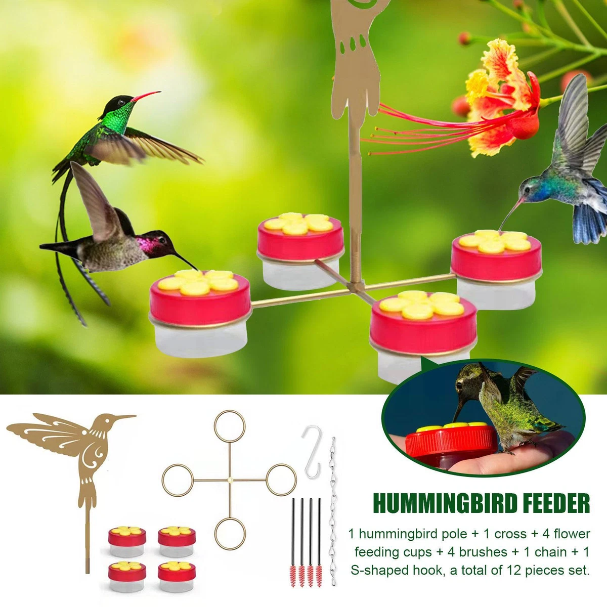 PARK Spring Bird