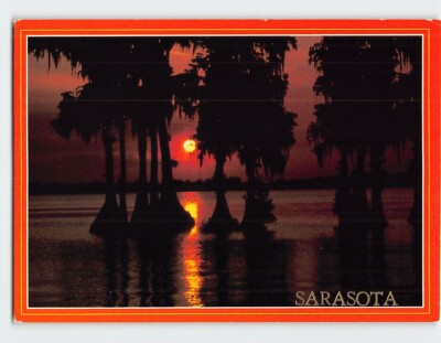 #ad Postcard Florida#x27;s Majestic Cypress Sarasota $9.99
