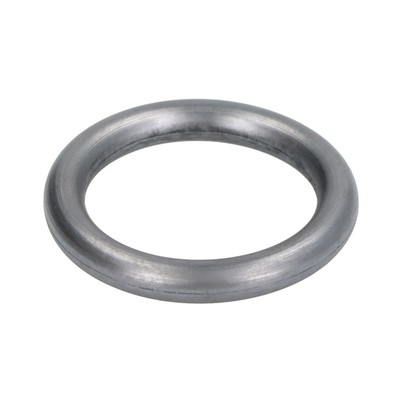 Dichtring, Wasserpumpe ELRING 569.390