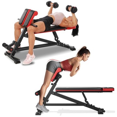 Heavy-Duty 800lbs Weight Capacity Roman Chair & Sit Up Bench