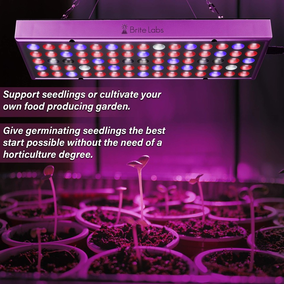LED Grow Lights for Seed Starting Germinate Seeds Fast with Maximum Yields eBay