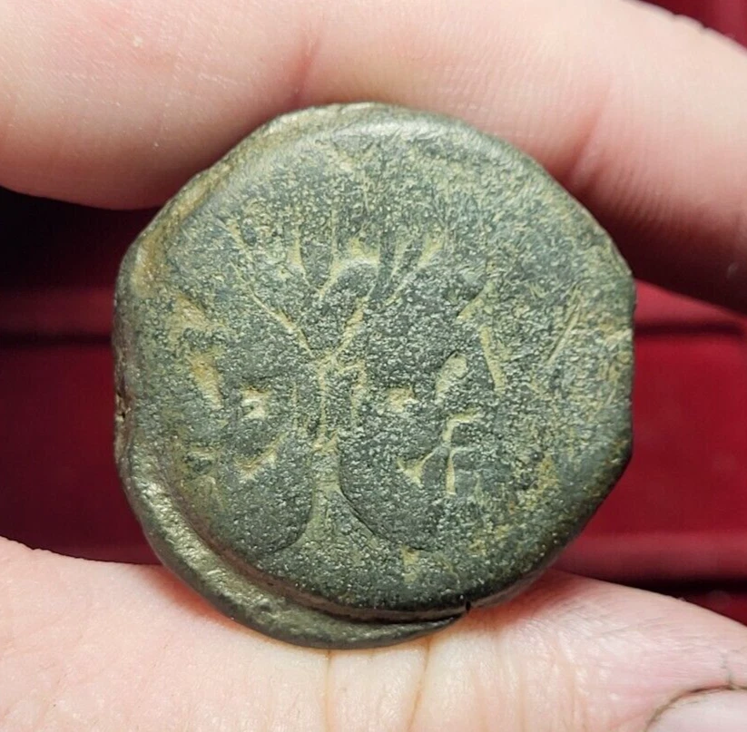 #61-6 ~ République Romaine - Bronze Anonyme Janus - As - 34,9g - Photo 1/3