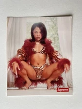 Supreme Lil Kim Sticker 100% Authentic SS22 Season IN HAND
