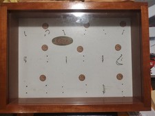 Case XX Factory Display