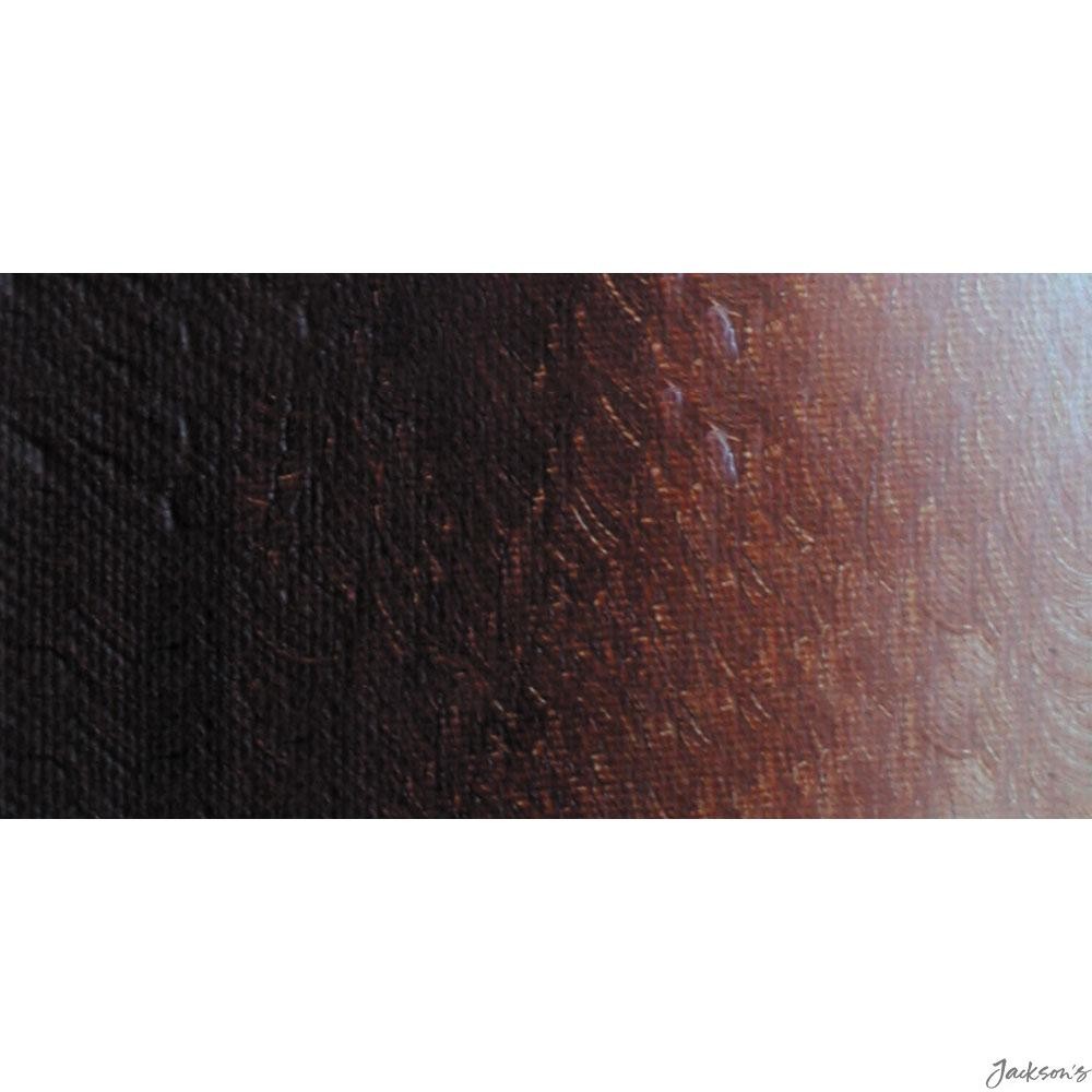 Ara Acrylic Paint 250ml Burnt Sienna Artist Colour For Canvas Surfaces