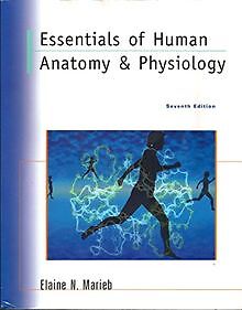 Essentials of Human Anatomy and Physiology von Marieb, E... | Buch | Zustand gut