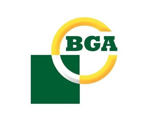 BGA HEAD BOLT SET - BK4316 - Picture 1 of 7