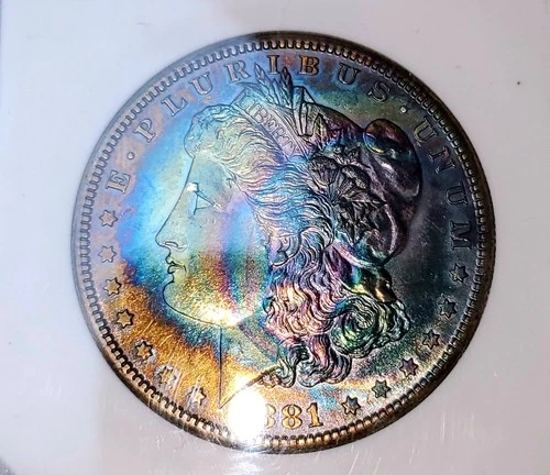 1881-S MORGAN Silver DOLLAR PC MS!!66  Amazing Toned
