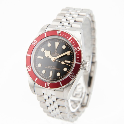 TUDOR Black Bay M7941A1A0RU-0003 Master Chronometer Box/Papier - Bild 2 von 24