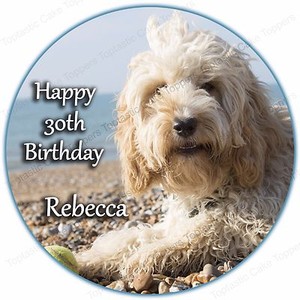 cockapoo birthday cake