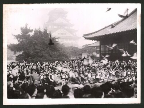 Widok fotograficzny Osaka, darowizna gołębi pocztowych dla wojska 1940, II wojna światowa  - Zdjęcie 1 z 2