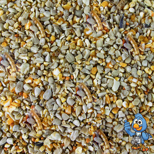 BusyBeaks Robin & Songbird Food - High Energy Wild Bird Seed For Garden Birds - Picture 15 of 48