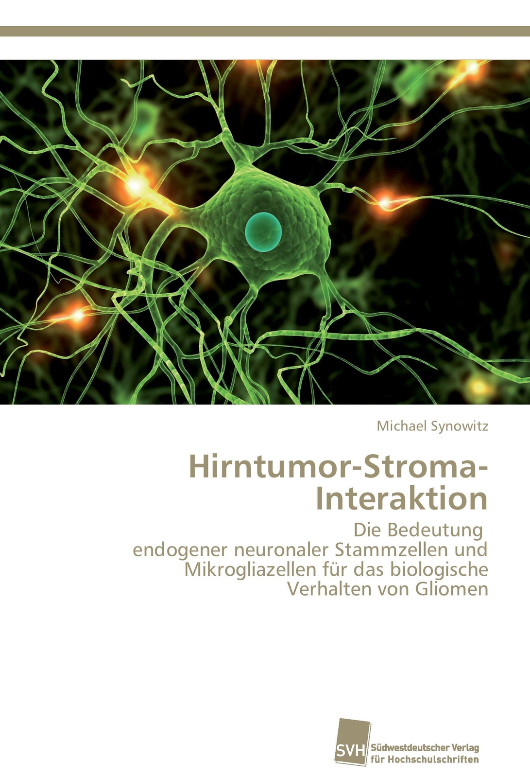 Thumbnail - Hirntumor-stroma-interaktion Michael Synowitz Taschenbuch Paperback 64