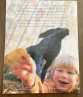 16th Annual Travel Issues:  American Heritage Magazine May 2002 — photo 3