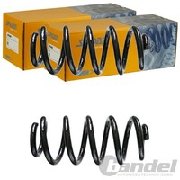 2X Spidan Fahrwerksfedern Hinten Passend FÜR Audi Tt Links+Rechts