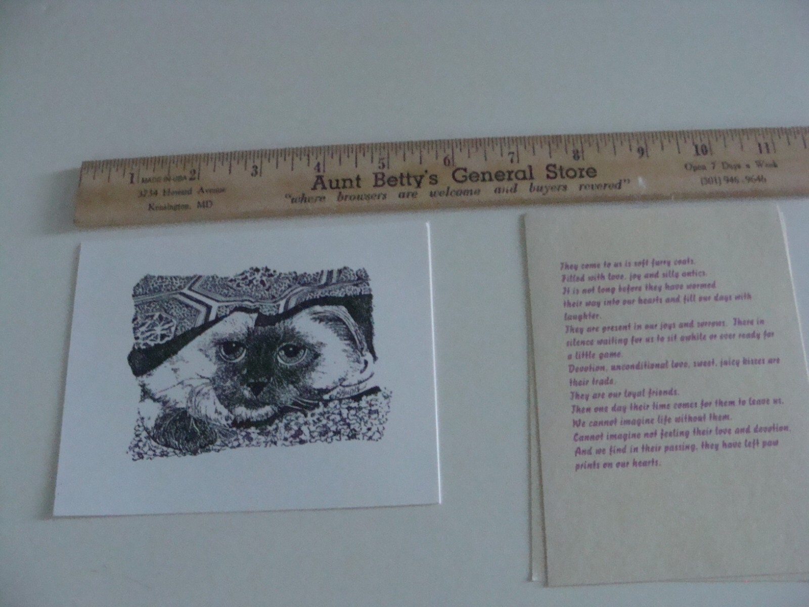 Picture 5 of 9