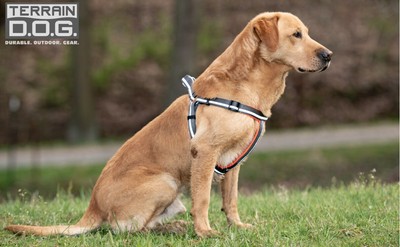 Weaver Leather Hundehalsband Brahma Webb – Wasserdicht, Pflegeleicht