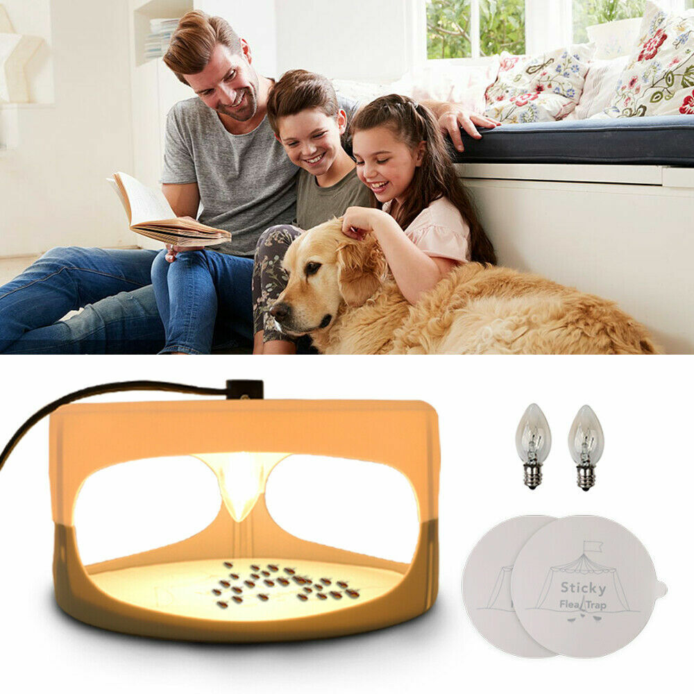 Electric Insect Flea Trap Killer Lamp Non-Poisonous Sticky Pest Control Discs UK