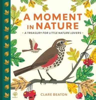 A Moment in Nature Clare Beaton