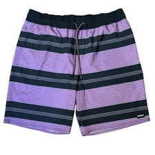 Oakley Hydrolix Boardshorts Swim Trunks Size L Stripe Purple Navy Marlin RC 20  