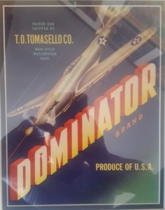 DOMINATOR TOMATO CRATE LABEL WATSONVILLE CALIFORNIA 1940/'s Airplane WWII FIGHTER