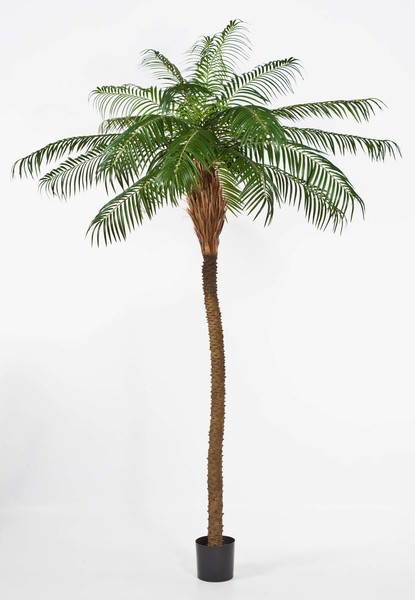 Artplants KüNstliche PhöNixpalme, Deluxe, 280Cm-image