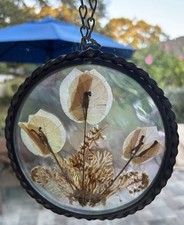 Vintage Sun Catcher Dried Flower Pewter With Beveled Glass- Lasting Impressions