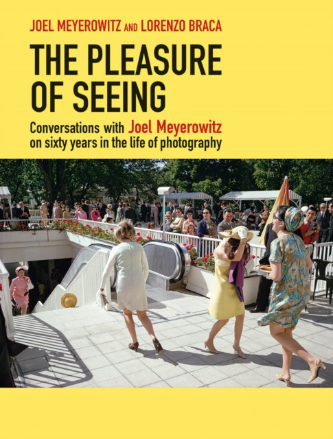 The Pleasure of Seeing (Hardback Book)
