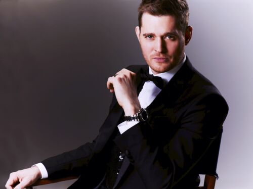 20 PROFESSIONAL pro*** MICHAEL BUBLE *** BACKING TRACKS  - Picture 1 of 1