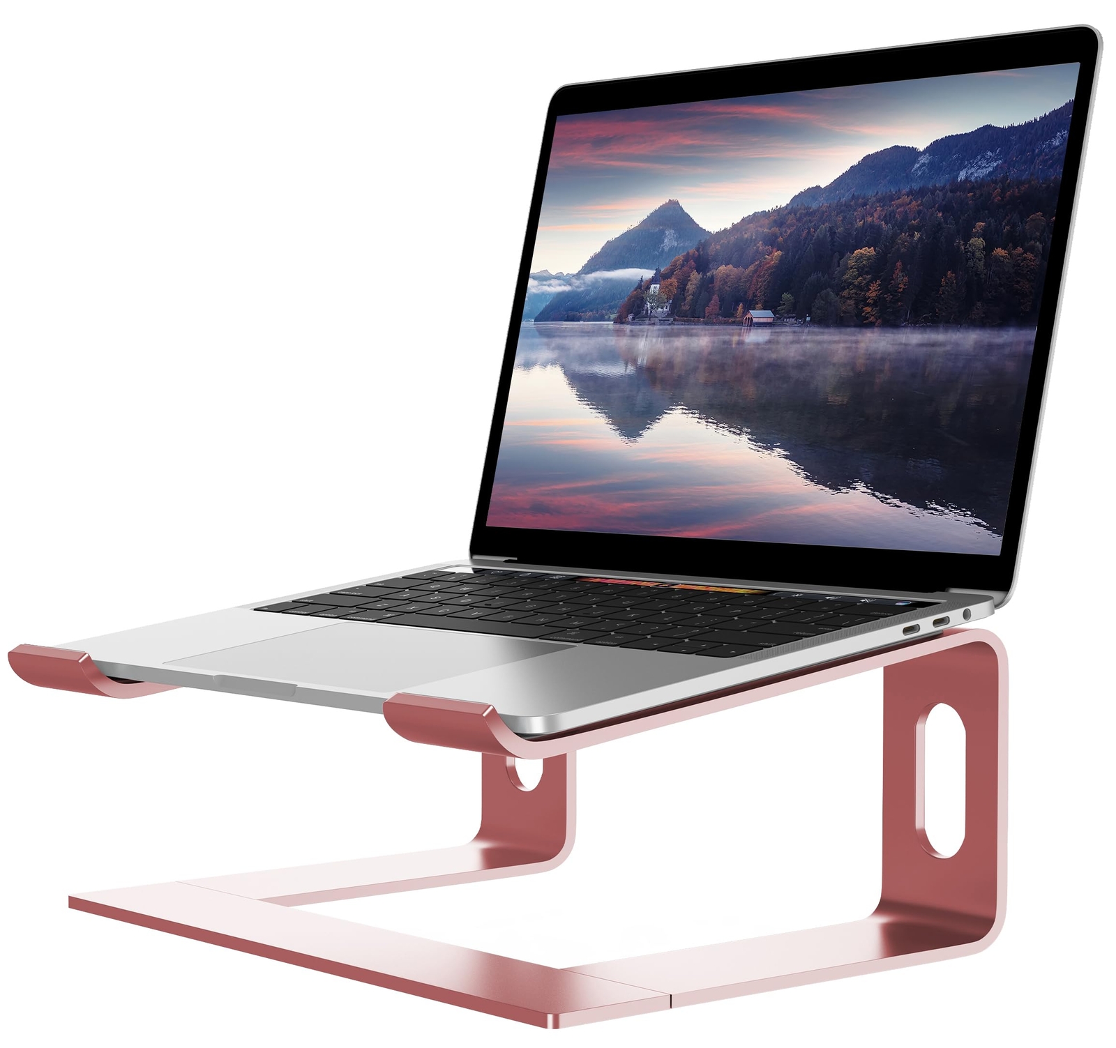 Aluminum Laptop Stand for Desk Ergonomic Detachable Notebook Riser Holder-image