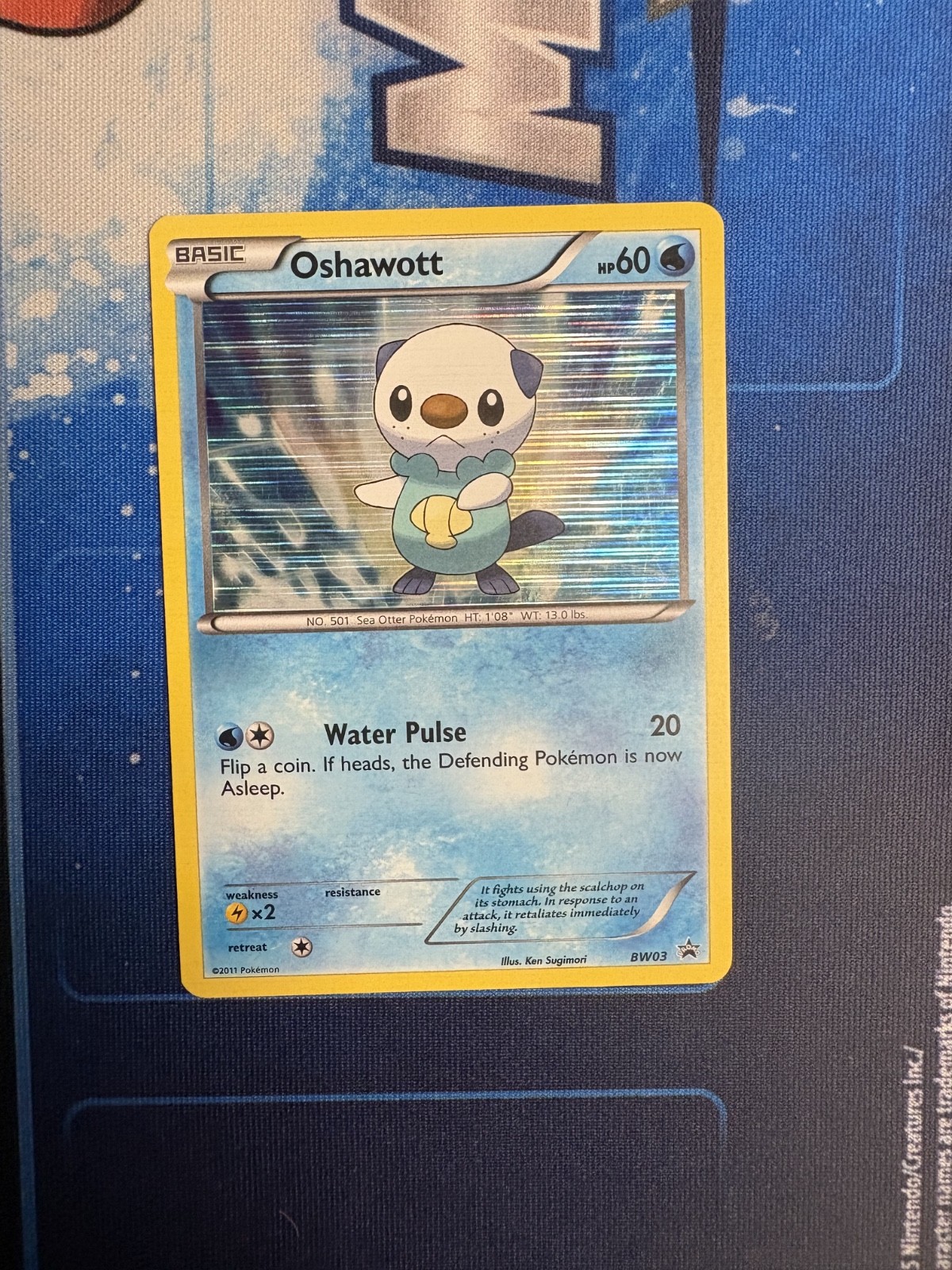 Pokémon TCG Oshawott Black Star Promo Holo BW03 Black & White
