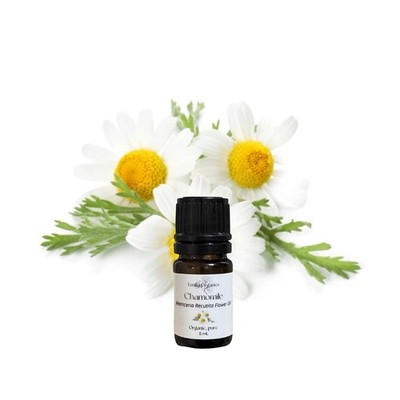German Chamomile Essential Oil, Organic, Pure, Natural