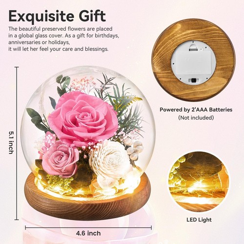 Flores preservadas en bola de vidrio con tira de LED flores reales de larga duración regalo... - Imagen 2 de 6