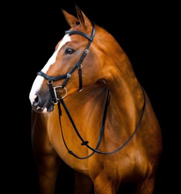 Horseware Micklem 2 Deluxe Wettkampf Trense mit Zügeln Druckminderer Tack