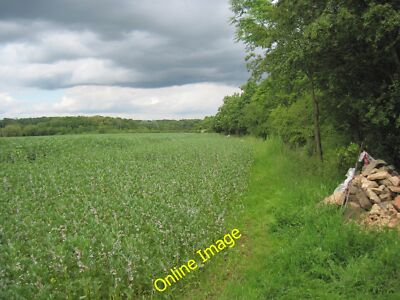Foto 12x8 Waldrand und Feldbohnen Wallingwells Der Wald hat keine c2012