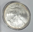 2006 Silver American Eagle 1 oz. .999 Slight Edge Toning