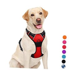 No Pull Dog Harness Large Step in Reflective Dog Harness Large Pack of 1 Red
