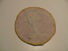 TWEETY BIRD LOONEY TUNES WARNER BROTHERS CARTOON TELEVISION CLOTH USED PATCH — photo 2