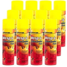 Enforcer Wasp & Yellow Jacket Foam V - 16 oz  (Case of 12) - FWH16