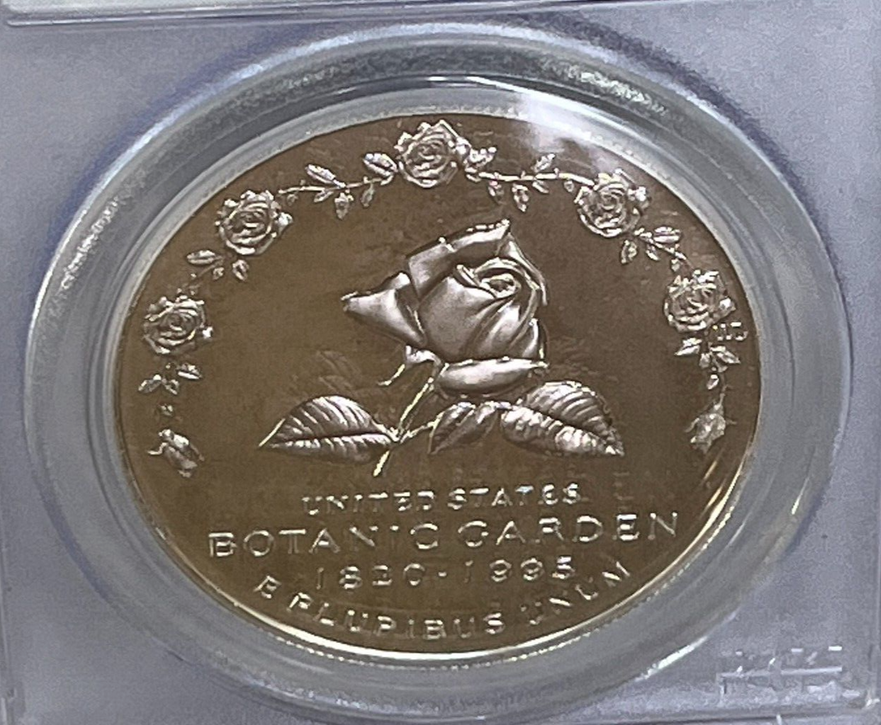 Picture 5 of 12