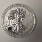 2013-W American Silver Eagle 1oz Reverse Proof - Capsule Only - A297