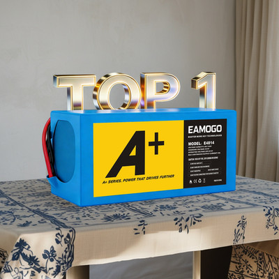 48V 14AH Battery & Anderson connector