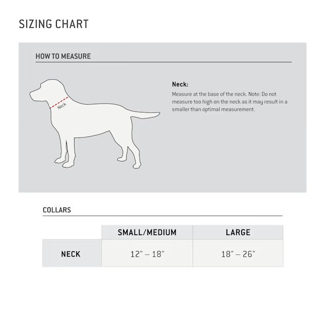 Carhartt Adjustable Tradesman Dog Collar, Medium, Hunter Orange Brushed Nickel eBay